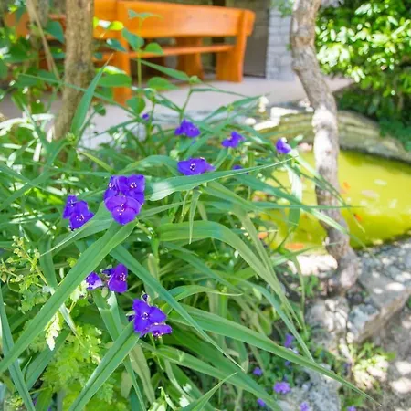 فيلة Rustic Casa Mendula With Grill In Tinjan Srbinjak