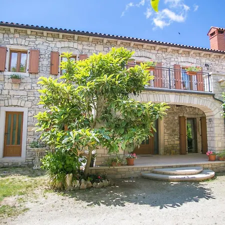 Vila Rustic Casa Mendula With Grill In Tinjan